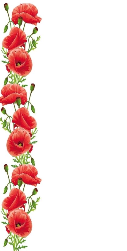 Украинский Орнамент | Floral border design, Pretty phone wallpaper, Poppy  design